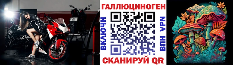 дарнет шоп omg зеркало Галлюциногенные грибы мицелий Балашиха